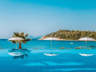 Piscina infinita con sombrillas con vistas al mar y a una costa boscosa