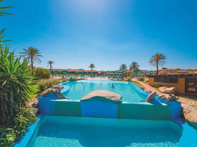 Groot buitenzwembad met palmbomen en zonnig terras onder een heldere blauwe lucht.