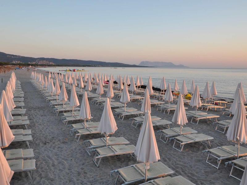 Rij witte parasols en ligstoelen op een rustige strand bij zonsopgang.