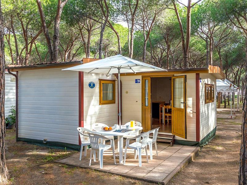 Campinghütte mit offenem Eingang und weißer Terrasse unter Pinien im Wald