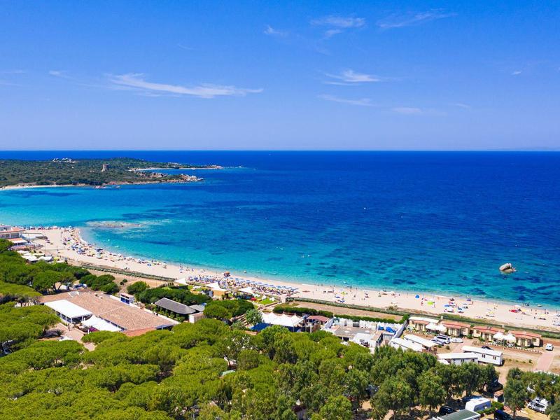Blick auf einen langen Sandstrand mit klarem blauem Wasser und grüner Vegetation im Vordergrund.
