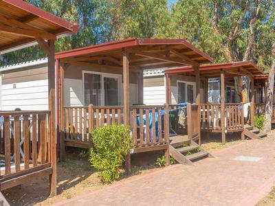 Rij moderne stacaravans met veranda's, omgeven door bomen in een zonnige omgeving.