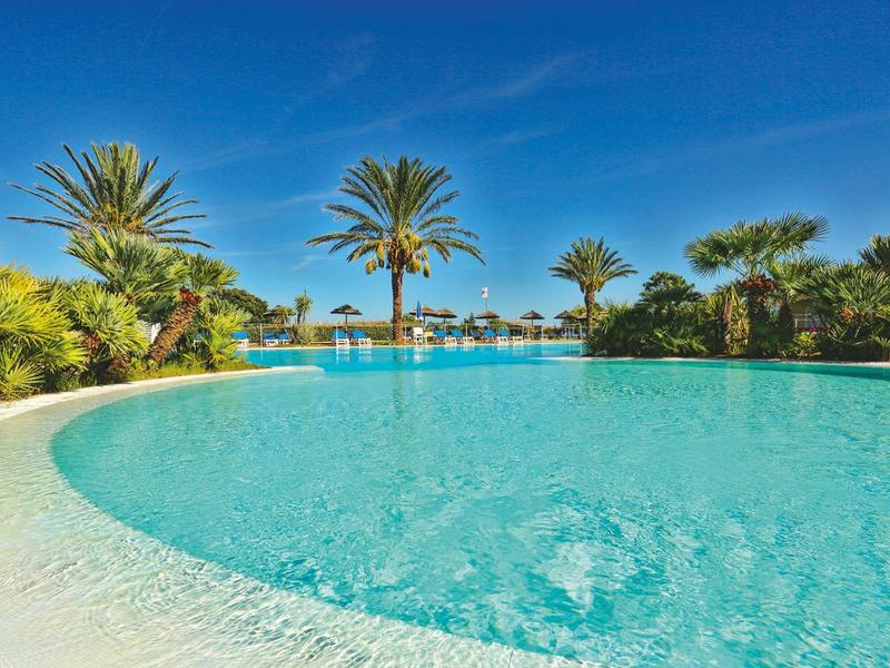 Large outdoor pool with palm trees and clear blue sky in a tropical vacation setting.
