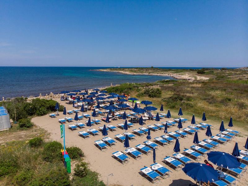 Beach with blue loungers and umbrellas along the coast under clear sky