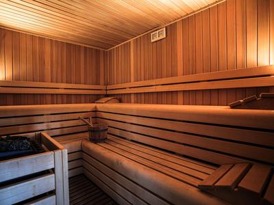 Lichte houten sauna met meerdere zitniveaus en een saunaoven in de hoek.