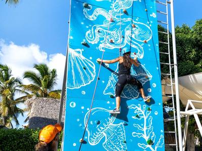 Person klettert an einer blauen Kletterwand mit Meerestiermotiven im Freien, umgeben von Palmen.