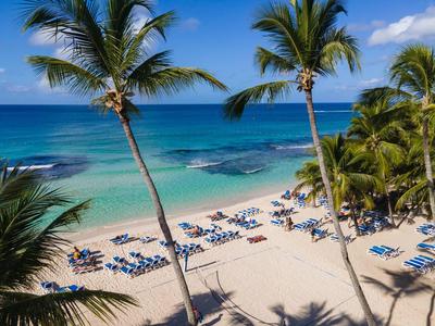 Strand mit weißem Sand, blauen Liegestühlen und hohen Palmen vor klarem, blauem Meer.