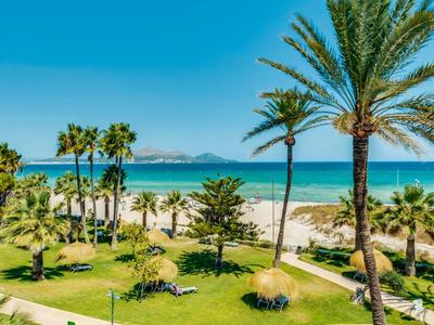 Grüne Palmen und Bäume vor einem weißen Sandstrand und blauem Meer unter klarem Himmel.
