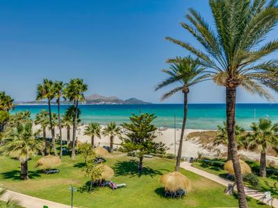 Green garden with palm trees in front of a sandy beach and blue sea under clear sky