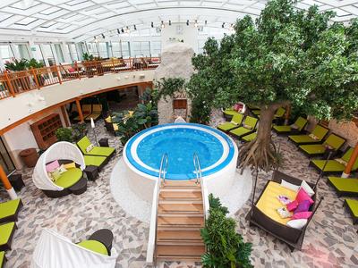 Innenraum mit kleinem Pool, großen künstlichen Baum, bunten Sitzmöbeln und gemütlichen Liegen.