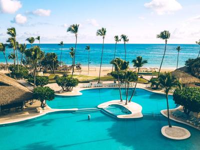 Piscine avec palmiers et vue sur l'océan par une journée ensoleillée.