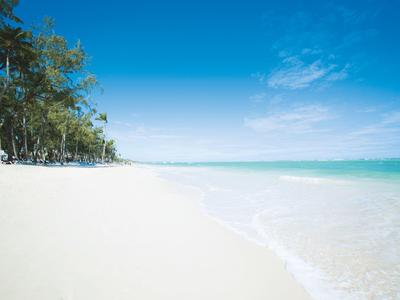 White sandy beach with clear turquoise water under blue sky and trees at the edge.