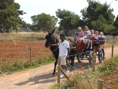 Horse-drawn carriage carrying several passengers on a rural path on a sunny day.
