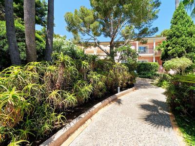 Ein gepflasterter Weg führt durch einen grünen Garten mit Palmen und Sträuchern zu einem Hotelgebäude.
