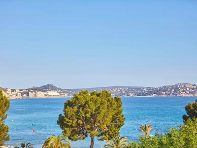 View of the sea with trees in the foreground and a city on the horizon under a clear sky.