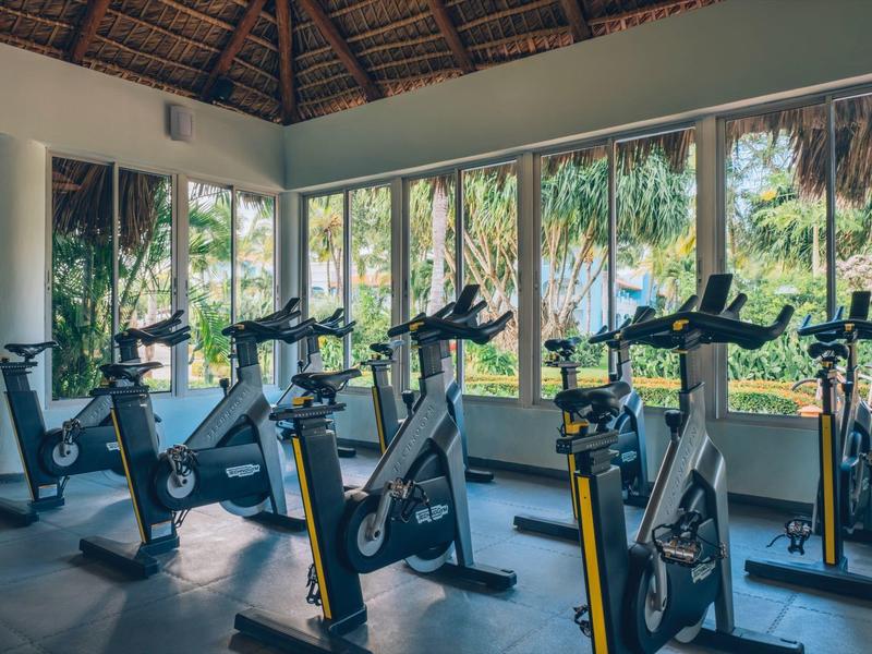 Modern gym with spin bikes and large windows overlooking palm trees.