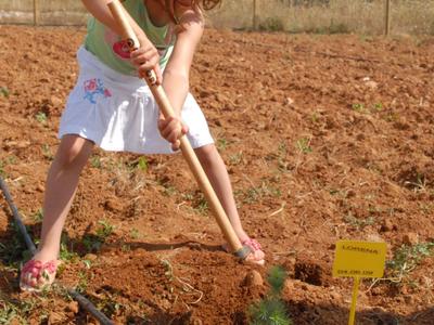 Kind plant een kleine boom in losse, bruine aarde op een veld.