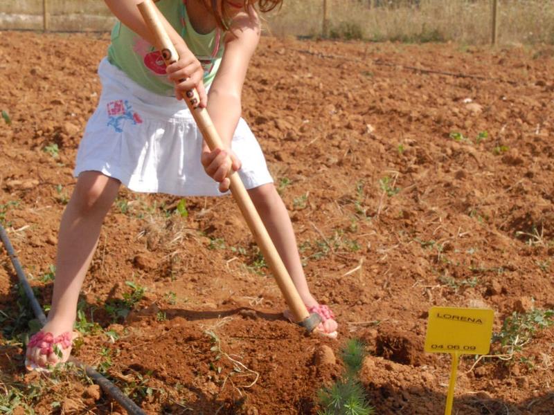 Kind plant een kleine boom in losse, bruine aarde op een veld.