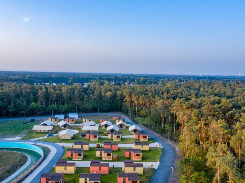Ferienhäuser in einem Waldgebiet mit klarem Himmel und langem Wald im Hintergrund.