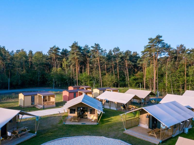 Camping mit Zelthütten auf Grasfläche, Wald im Hintergrund, blauer Himmel.
