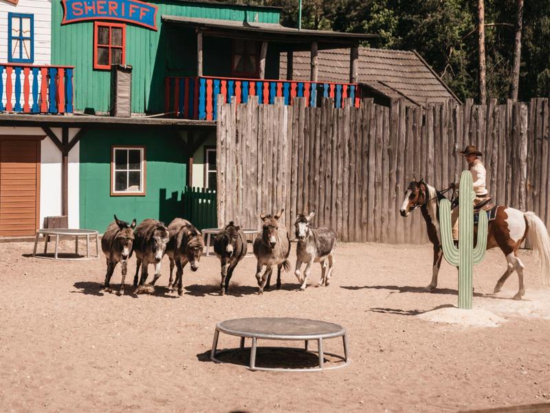 Western-Freizeitpark mit Eseln, Holzgebäuden und einem Pferd neben einer Kaktusattrappe.