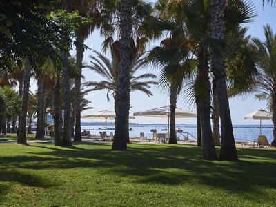 Pelouse verte et palmiers avec vue sur la plage et la mer sous un ciel ensoleillé.