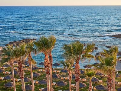 Blick auf das Meer mit Palmen und felsigem Ufer bei klarem Wetter.