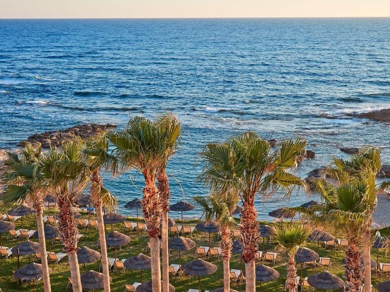 Blick auf das Meer mit Palmen und felsigem Ufer bei klarem Wetter.