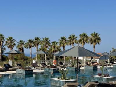 Luxueus zwembadgedeelte met ligbedden en palmbomen onder een heldere blauwe lucht