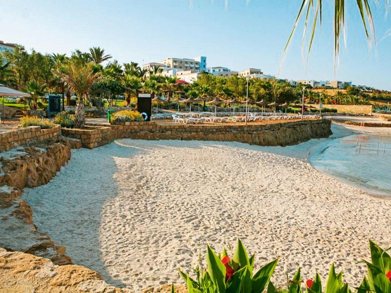 Sandstrand mit klarem Wasser, Palmen und grünen Pflanzen vor sonnigem Himmel.