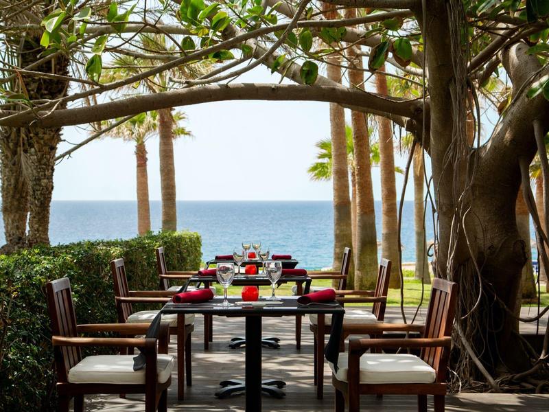 Ein Tisch mit vier Stühlen im Freien, umgeben von Bäumen, mit Blick aufs Meer im Hintergrund.