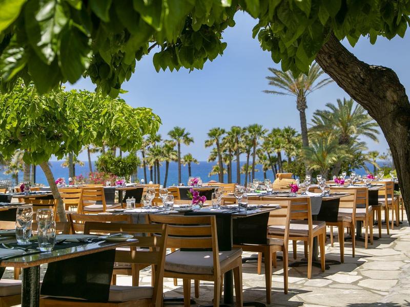 Buitengebied van een restaurant met houten tafels en stoelen, omgeven door bomen en uitzicht op zee.