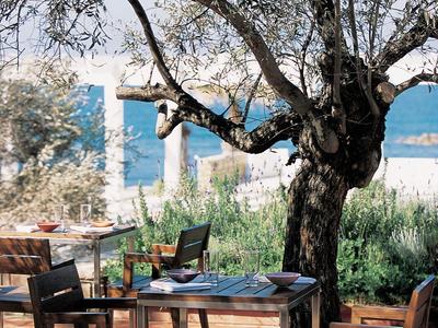 Zona de estar al aire libre con mesas y sillas de madera bajo un árbol con vista al mar.