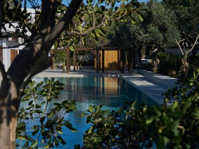 Ein Swimmingpool in einem schattigen Garten mit Bäumen und Sträuchern an einem sonnigen Tag.