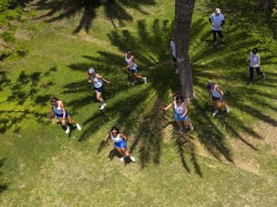 Gruppe von Menschen steht auf einer Wiese mit Palmen, Schatten sind sichtbar.