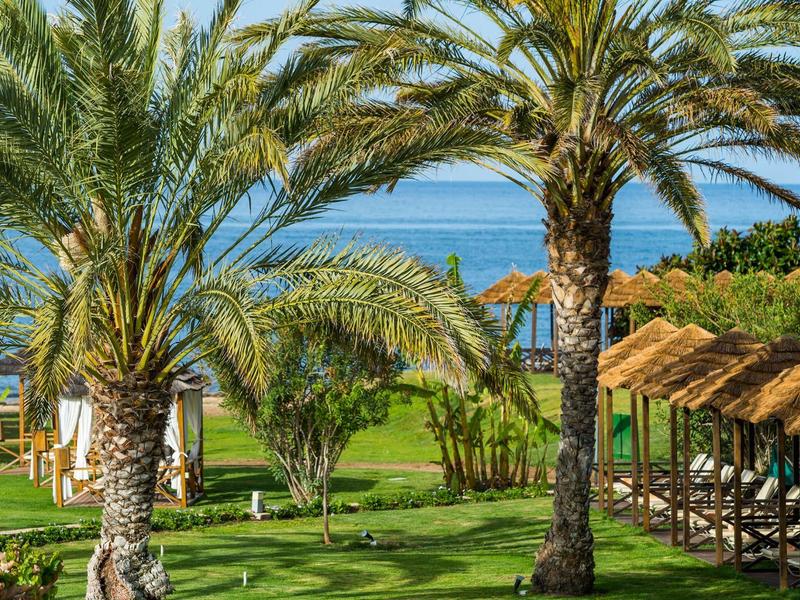 Blick auf grüne Palmen, Rasen und Sitzbänke nahe einem ruhigen blauen Meer unter klarem Himmel.