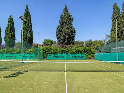 Ein Tennisplatz mit grünem Rasen und hohen Bäumen im Hintergrund an einem sonnigen Tag.