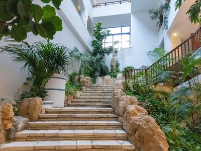 Innenbereich mit Treppe, umgeben von großen Pflanzen und Steindekorationen.