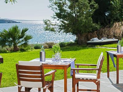 Terrasse mit Tischen und Stühlen vor Meerblick und grüner Wiese bei klarem Himmel.