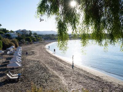 Leerer Kieselstrand mit weißen Liegestühlen und Bäumen entlang der Küste bei Sonnenschein.