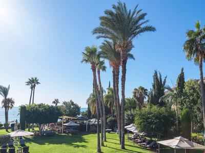 Jardin d'hôtel avec palmiers et vue sur la mer sous le soleil
