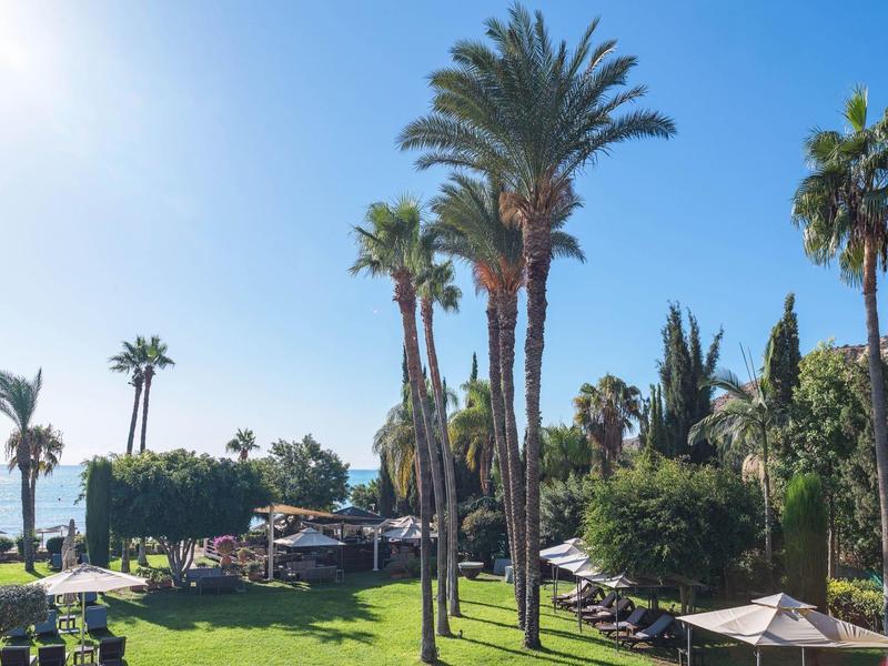 Grüner Park mit hohen Palmen am Meer unter klarem, blauem Himmel bei Sonnenschein.