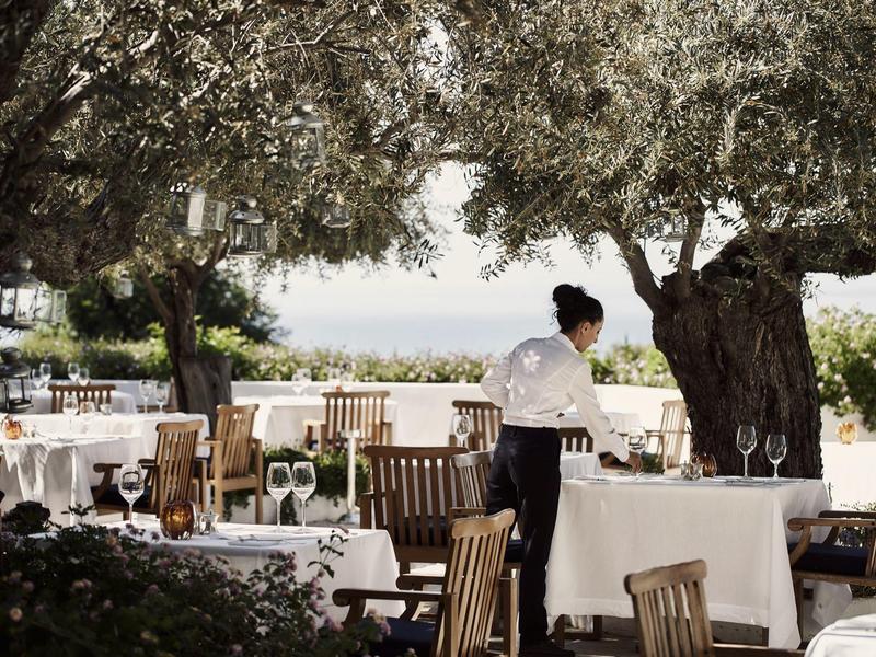 Restaurantterrasse mit Holztischen und Stühlen unter großen, schattenspendenden Olivenbäumen.