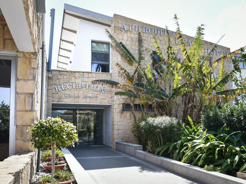 Modernes Steingebäude mit großer Pflanze und glänzender Glasfassade unter blauem Himmel.