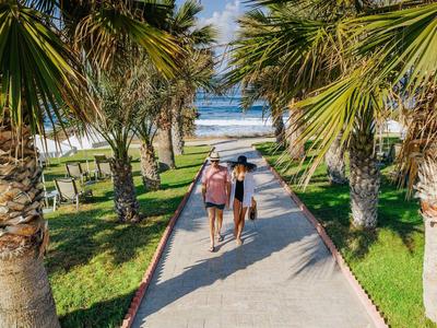 Para idzie ścieżką obsadzoną palmami w stronę plaży z widokiem na morze.