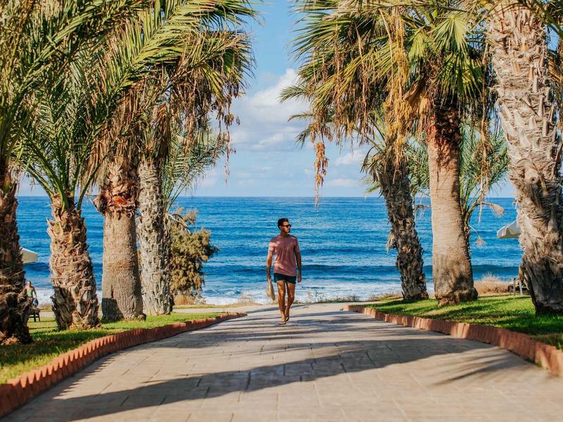 Eine Person radelt auf einem von Palmen gesäumten Weg Richtung Meer unter blauem Himmel.