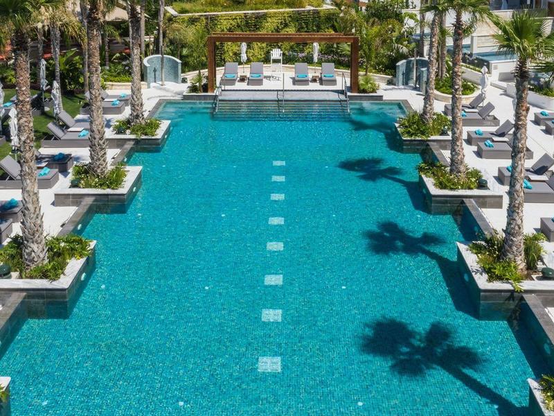 Großer rechteckiger Pool mit blauem Wasser, weißem Rand und Palmen entlang beider Seiten.