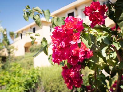 Fiori rossi davanti a un edificio bianco sotto un cielo azzurro in una giornata soleggiata.