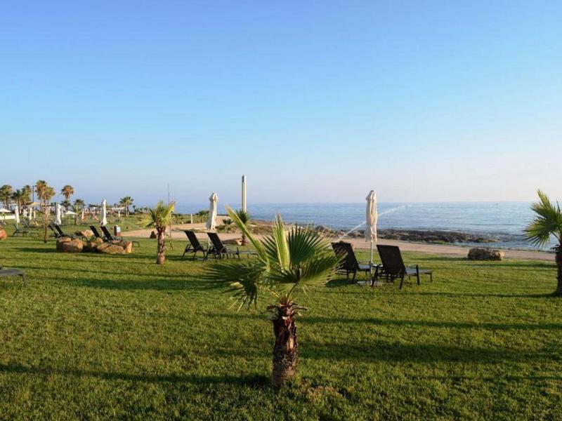 Grüner Rasen mit Liegestühlen und Palmen vor einem klaren, blauen Himmel und Meerblick.