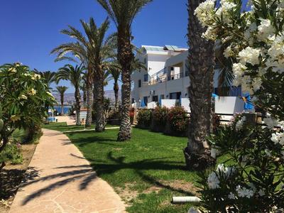 Groen tuinpad met palmbomen en witte bloemen naast een wit hotelgebouw bij een blauwe lucht.